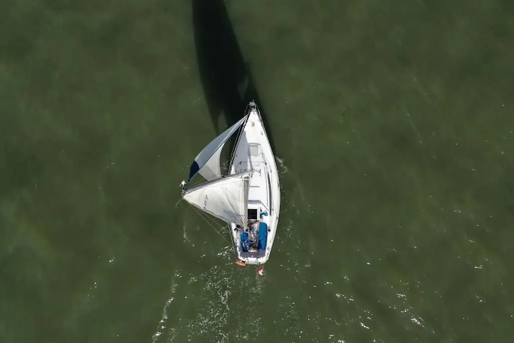ホテル Vintage Sailboat Experience リスボン